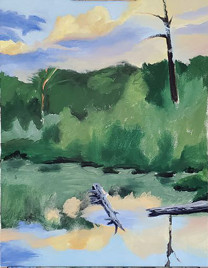 Evening sun on a pond