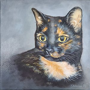 a commissioned portrait of a cat