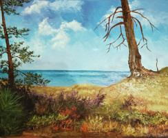 beach and water