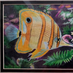 Coloured pencil painting of a tropical fish swimming in coral
